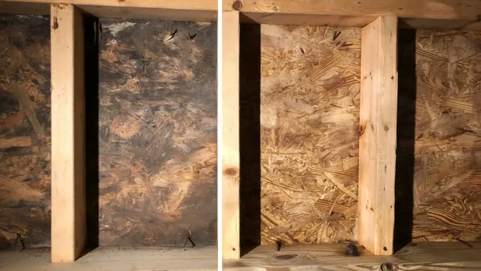 Mold remediation team working inside a contained room with air-control equipment